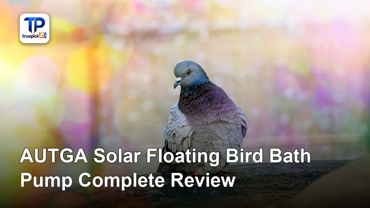 AUTGA Solar Floating Bird Bath Pump Complete Review