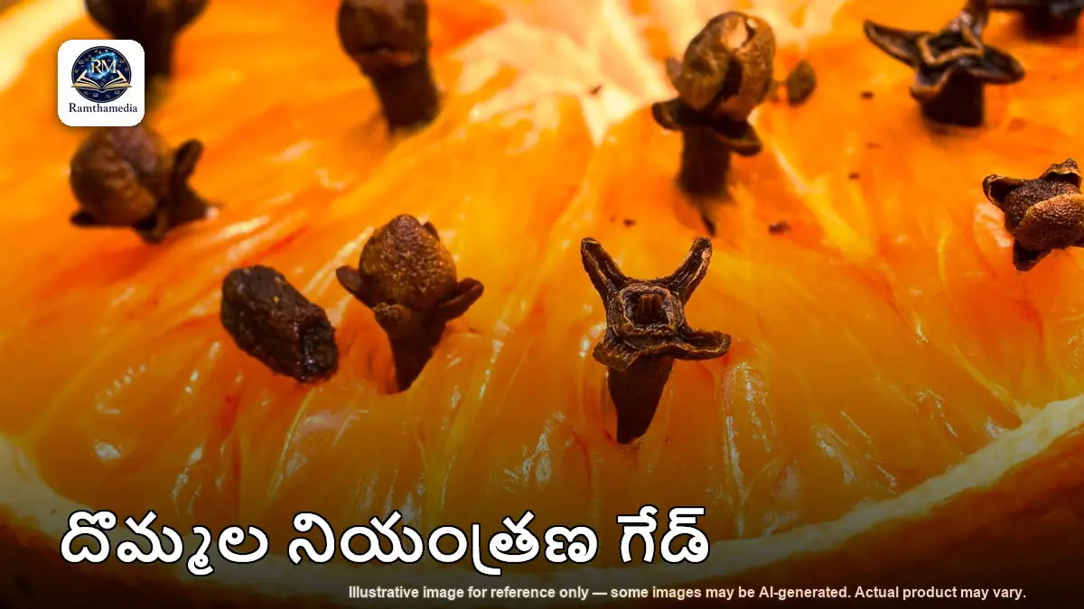 ఇంట్లో దోమల నివారణ మార్గాలు
