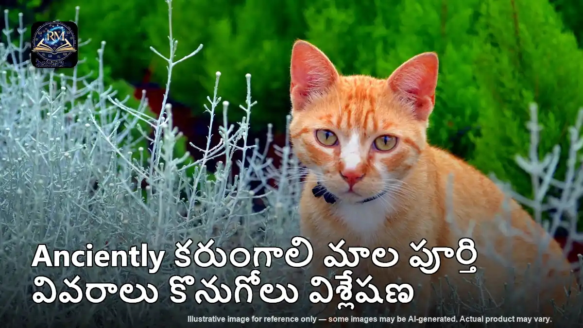 Anciently కరుంగాలి మాల పూర్తి వివరాలు కొనుగోలు విశ్లేషణ