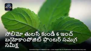 సోలిమో తులసి product - illustrative image for the RamthaMedia editorial review (not a photograph of the exact product)